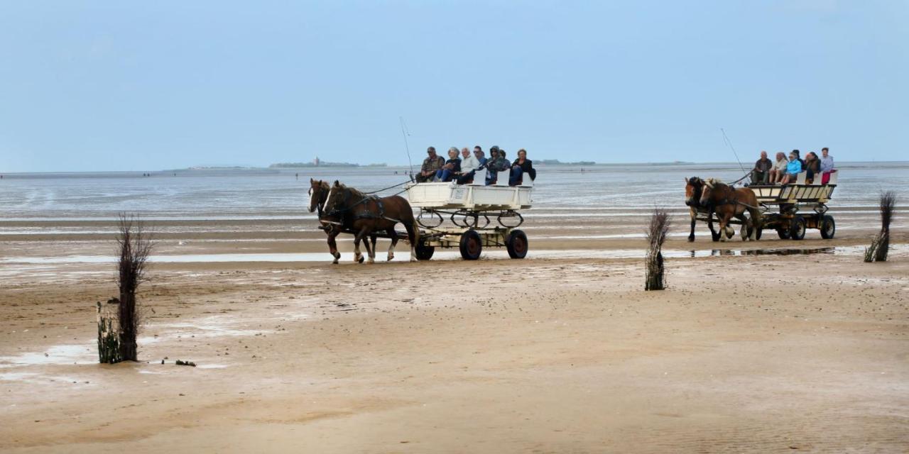 Appartementhaus Horizont Cuxhaven Extérieur photo